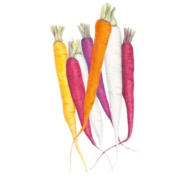 Vegan - Friendly Women's Sneakers Made from Recycled Materials for an Eco - Conscious ChoiceCarnival Blend Carrot Seed Vegan - Friendly Women's Sneakers Made from Recycled Materials for an Eco - Conscious ChoiceCarnival Blend Carrot Seed