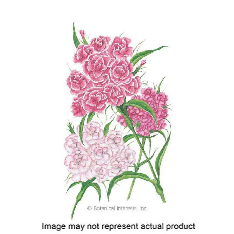 Vegan - Friendly Women's Sneakers Made from Recycled Materials for an Eco - Conscious ChoiceFlower Seed Vegan - Friendly Women's Sneakers Made from Recycled Materials for an Eco - Conscious ChoiceFlower Seed